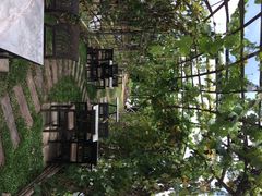iphone_upload_pic-Ohkajhu Organic Farm Sansai