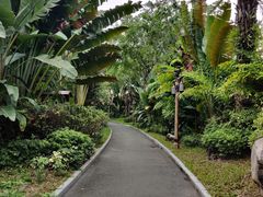 -碧桂园润杨溪谷温泉酒店