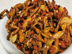 青蛙-铁头烧菜馆(立新路店)