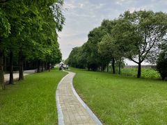 -同里国家湿地公园