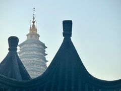 -红梅公园