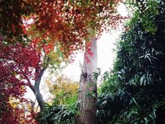 -青岛崂山太清宫