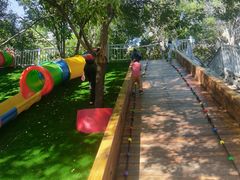 -北京鹿世界主题园