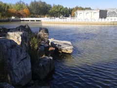 -东升八家郊野公园