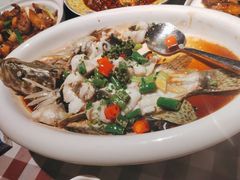 -陶缘一号·四季缘·老字号顺德菜·户外婚礼家宴(西滘店)