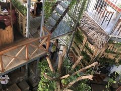 -Rainforest