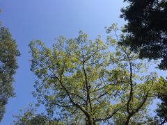 -广州保龄球馆(广州天河体育中心店)