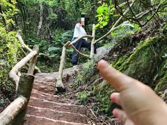 -长沙黑麋峰国家森林公园