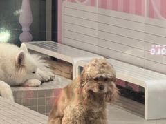 -霸王茶姬(上海恒基名人店)