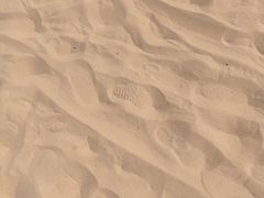 -日照海滨国家森林公园