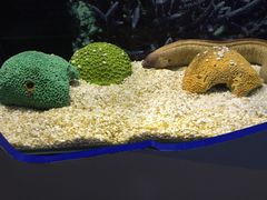 -荔湾足浴·按摩·SPA会所(龙华店)