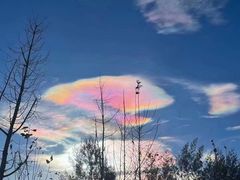 -西昌邛海湿地