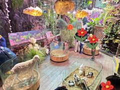 -正佳雨林生态植物园
