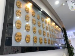 -南宁维密整形·王敦华眼鼻整复中心