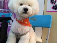 -乐琪宠物(青塔西路店)