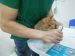-瑞鹏宠物医院·微创内窥镜·骨外科·牙科(翠竹分院)