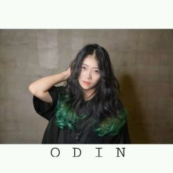 -ODIN 奥丁形象设计 