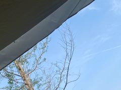 -金海湾滨江公园