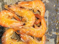 -苏格里岛自助烤肉海鲜火锅(成都金牛万达店)