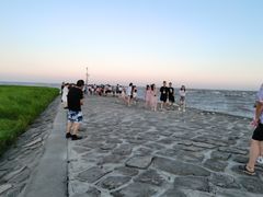 -南汇嘴观海公园