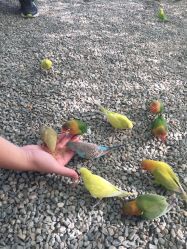 -萌宠亲子动物乐园(槐房万达店)