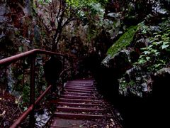 -雾灵西峰