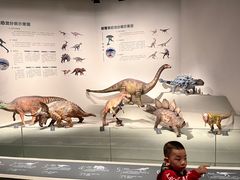 -自贡恐龙博物馆