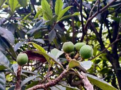 -重庆中央公园(渝北区)