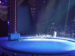 -珠海横琴长隆《卡卡虎奇遇记》