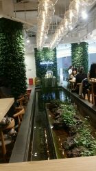 -悦诗风吟innisfree