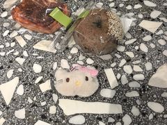 -夏佐CHASEL(横店康庄路店)