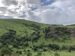 -大姆山草场
