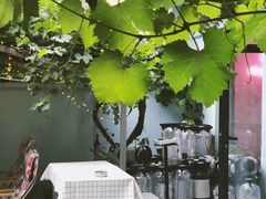 -ZING鲸鱼啤酒(葡萄院店)