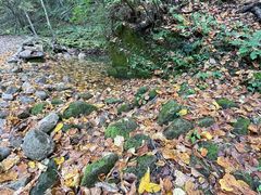 -五女峰国家森林公园