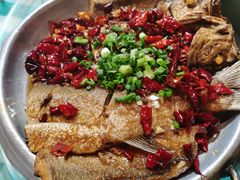 -昱龙大盆牛蛙馆(三兴街总店)