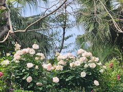 -人民公园(罗湖区)