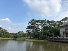 -大屏嶂森林公园