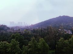 -西湖风景区-江洋畈生态公园