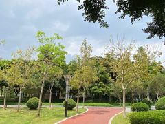 -文华公园(禅城区)