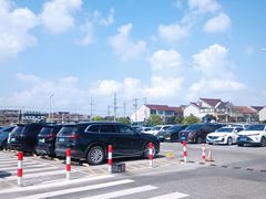 -新场古镇-停车场