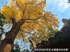 -秋霞圃