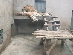 -西安秦岭野生动物园