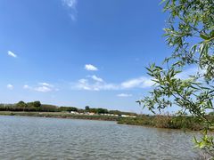 -梁子湖东篱老屋生态庄园
