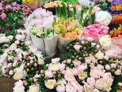 -双季花艺园艺市场(浦东店)
