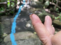 -呀诺达热带雨林