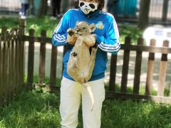 -西安秦岭野生动物园