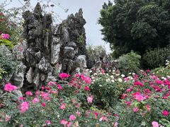 -人民公园(罗湖区)