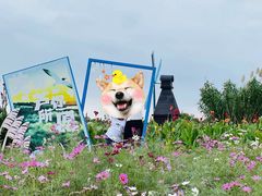 -宁波杭州湾国家湿地公园
