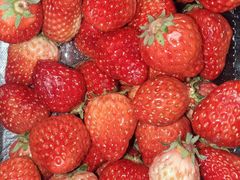 -上海龙吴水胜海发市场