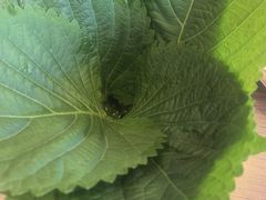 -大可泥炉烤肉(中街店)